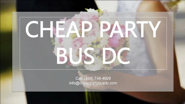 4 Great Ways to Use Save the Date Cards for Wedding Fun with Cheap Party Bus