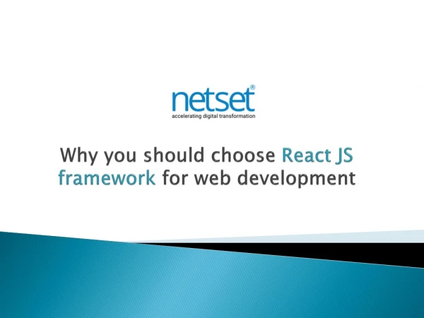 Why developers should choose React JS? - Netset Software solutions