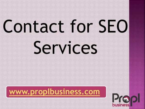 Contact for SEO Services