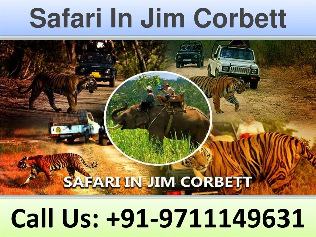 safari in jim corbett