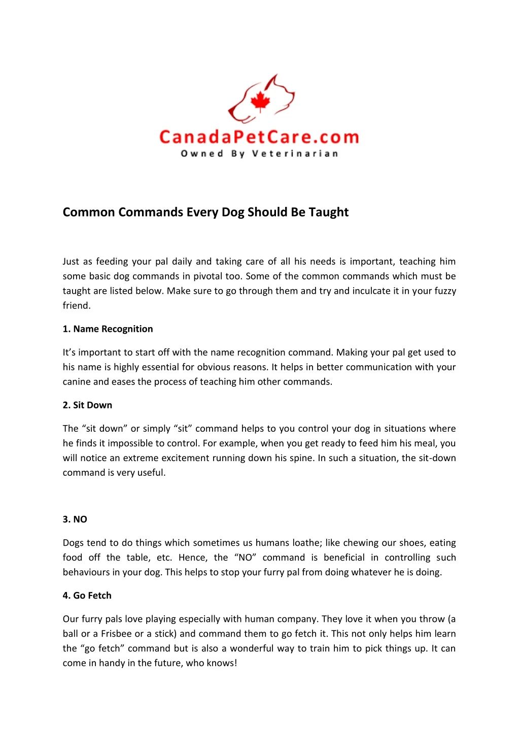 common commands every dog should be taught