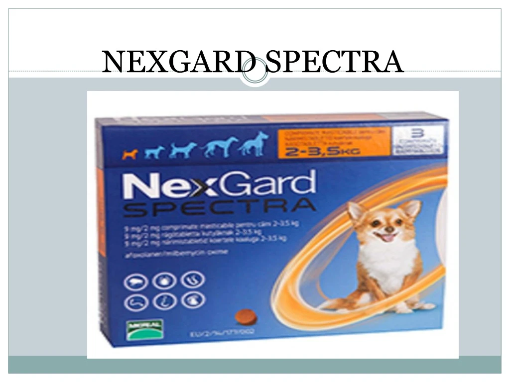 nexgard spectra