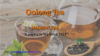 Oolong Tea Bags UK- Halmari Tea