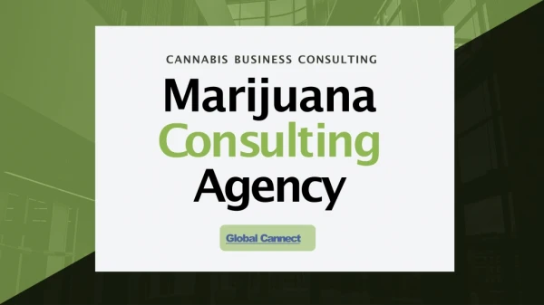 Marijuana Consulting Agency | Cannabis Business Consulting