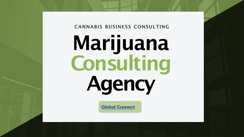 cannabis business consulting