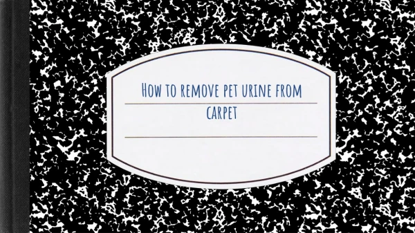 Best Way To Remove Pet Urine From Carpet
