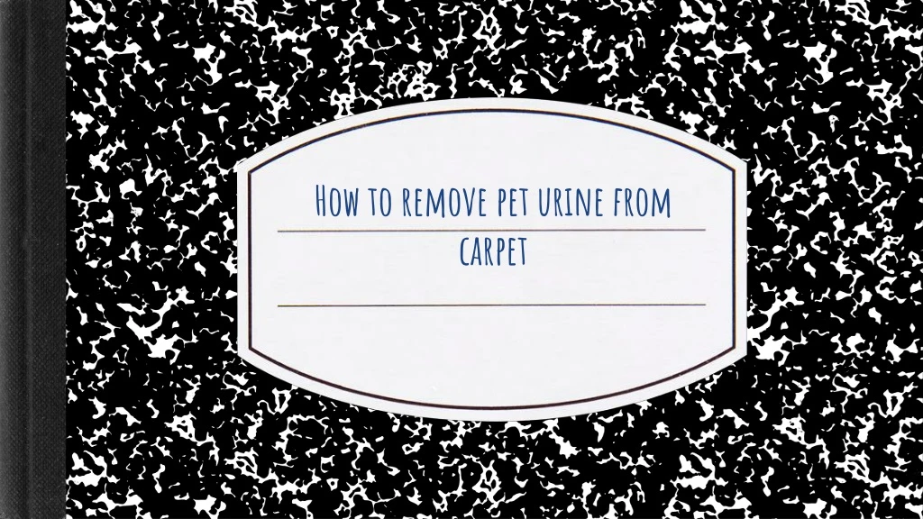 h o w to remove pet urin e from carpet