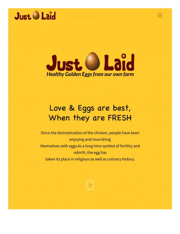 Just Laid – Brown eggs suppliers, Exporters in Hyderabad, Telangana