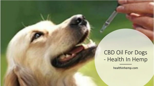 CBD Oil For Dogs - Health In Hemp