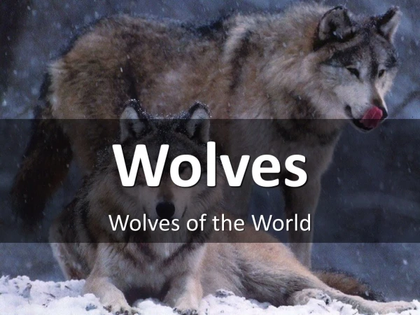 Wolves of the World