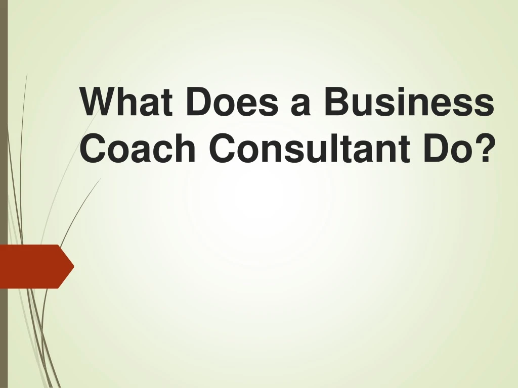 what does a business coach consultant do