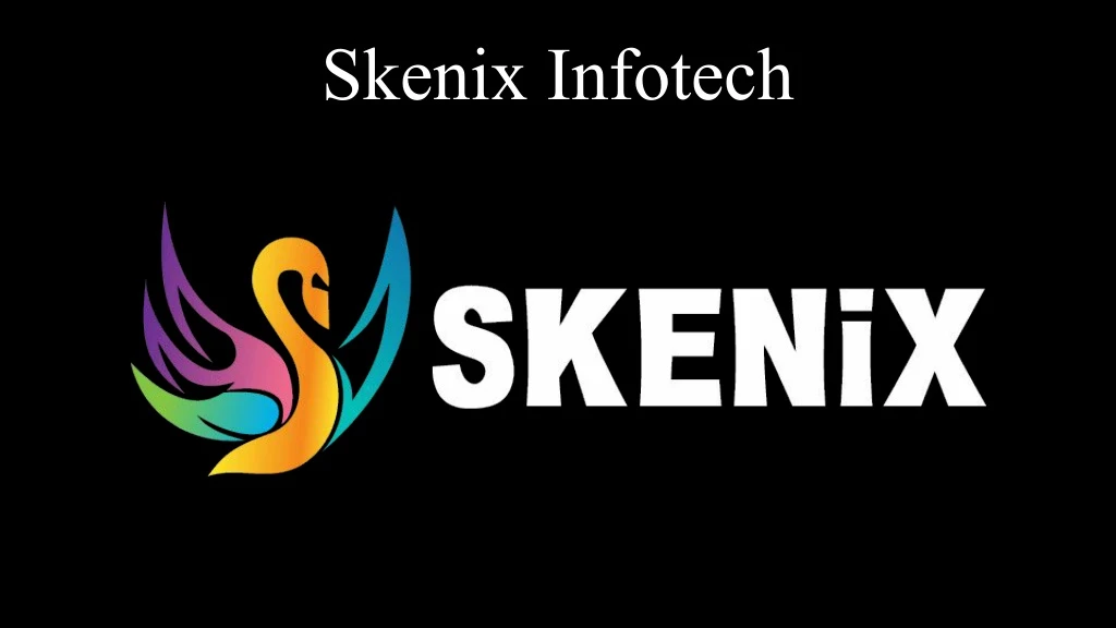 skenix infotech