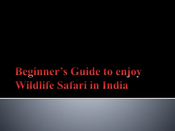 Beginner's Guide To enjoy wildlife safari India