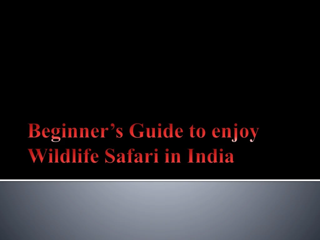 beginner s guide to enjoy wildlife safari in india