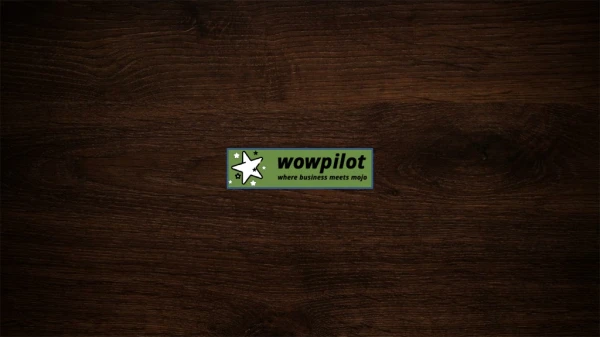 What are the Alternates of Trustpilot Website l WowPilot