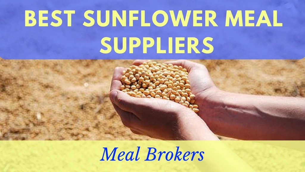best sunflower meal suppliers