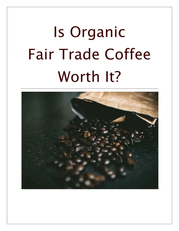 What Is Organic Fair Trade Coffee?