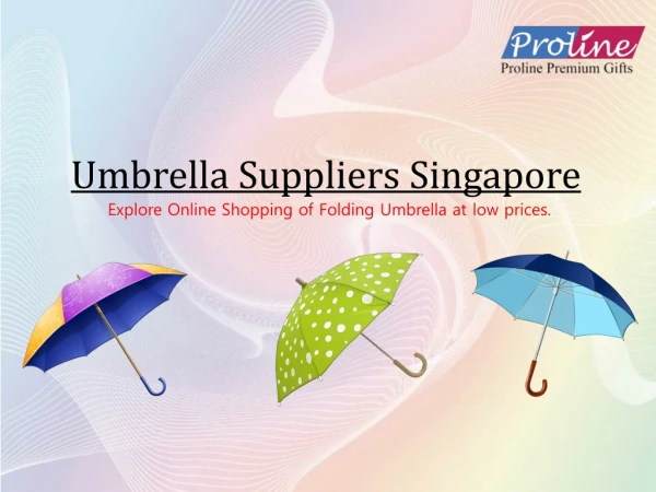 Umberlla Suppliers Singapore