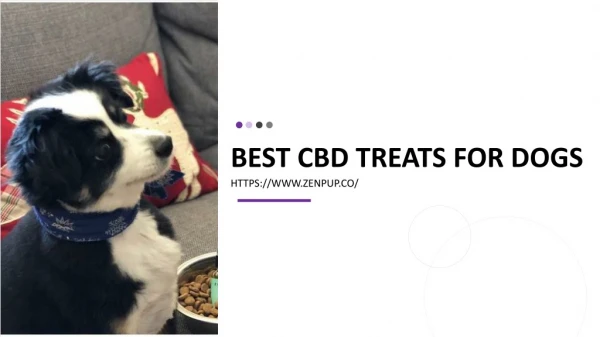 best cbd treats for dogs
