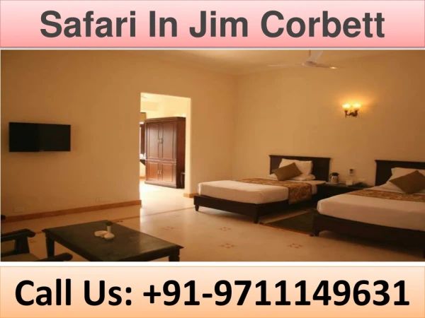 safari in jim corbett