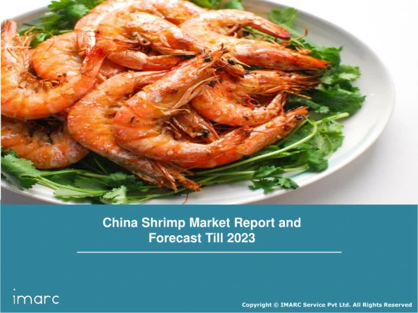 China Shrimp Market Share, Size, Trends, Growth | Industry Report By 2023