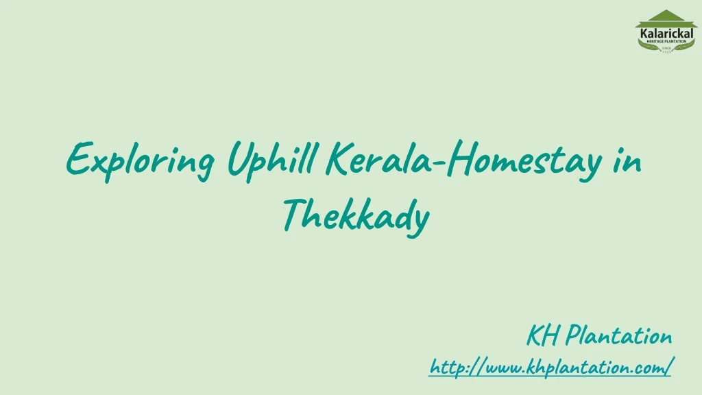 exploring uphill kerala homestay in thekkady