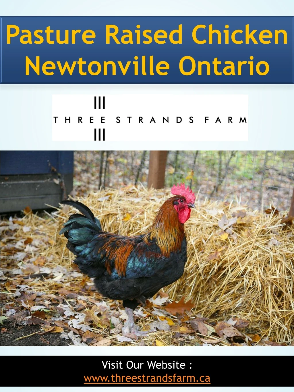 pasture raised chicken newtonville ontario