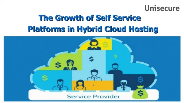The growth of Self Service platforms in Hybrid Cloud Hosting