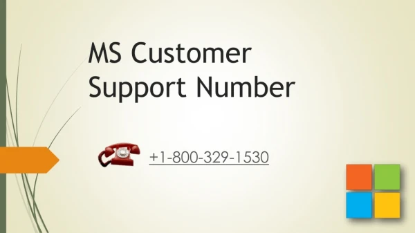 MS Customer Support Number