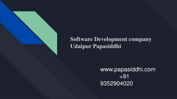 Software Development company Udaipur Papasiddhi