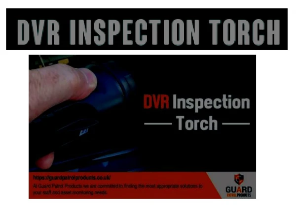 DVR Inspection Torch