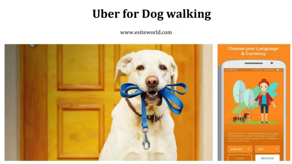 Uber for dog walking app