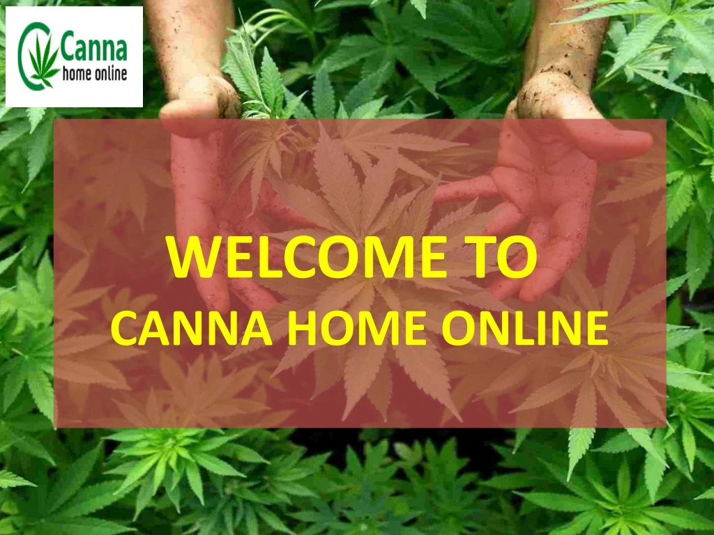 welcome to canna home online