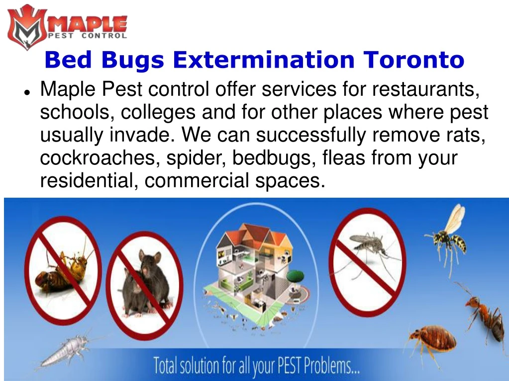 bed bugs extermination toronto