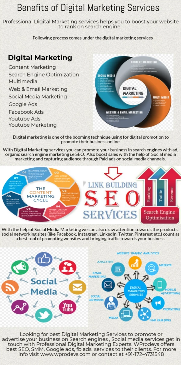 Professional Digital Marketing Services