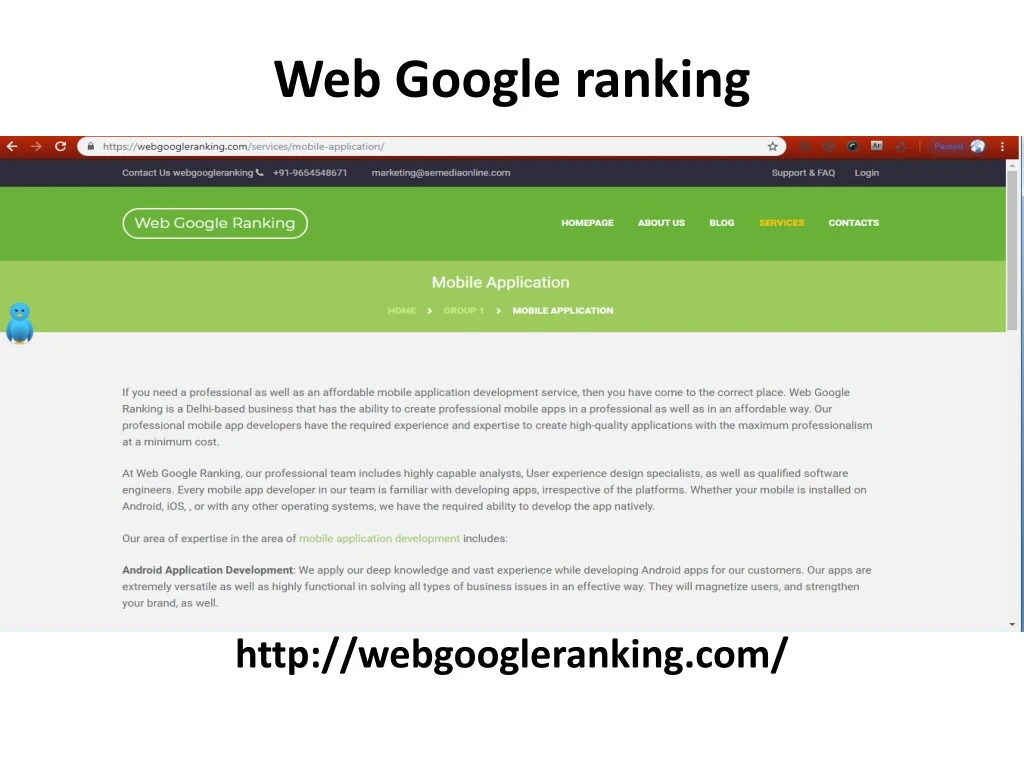 web google ranking