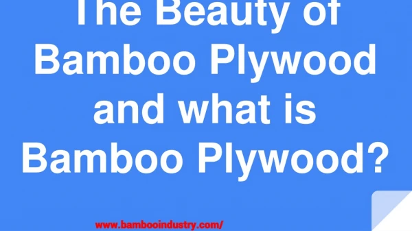 The Beauty of Bamboo Plywood and what is Bamboo Plywood