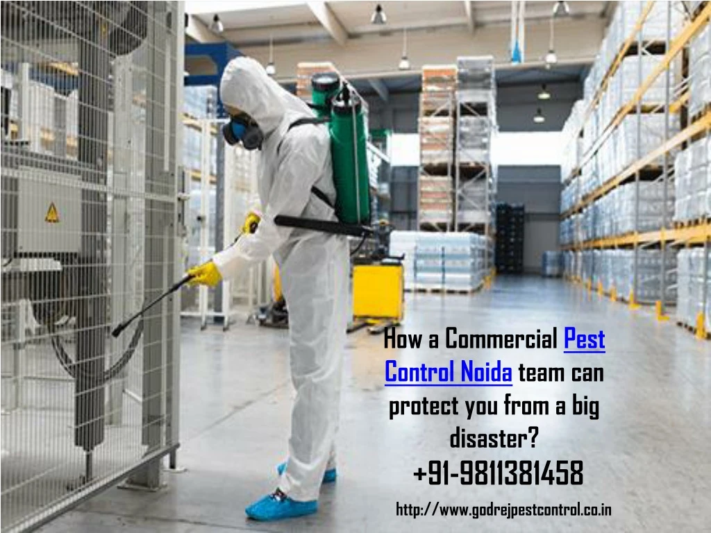 how a commercial pest control noida team