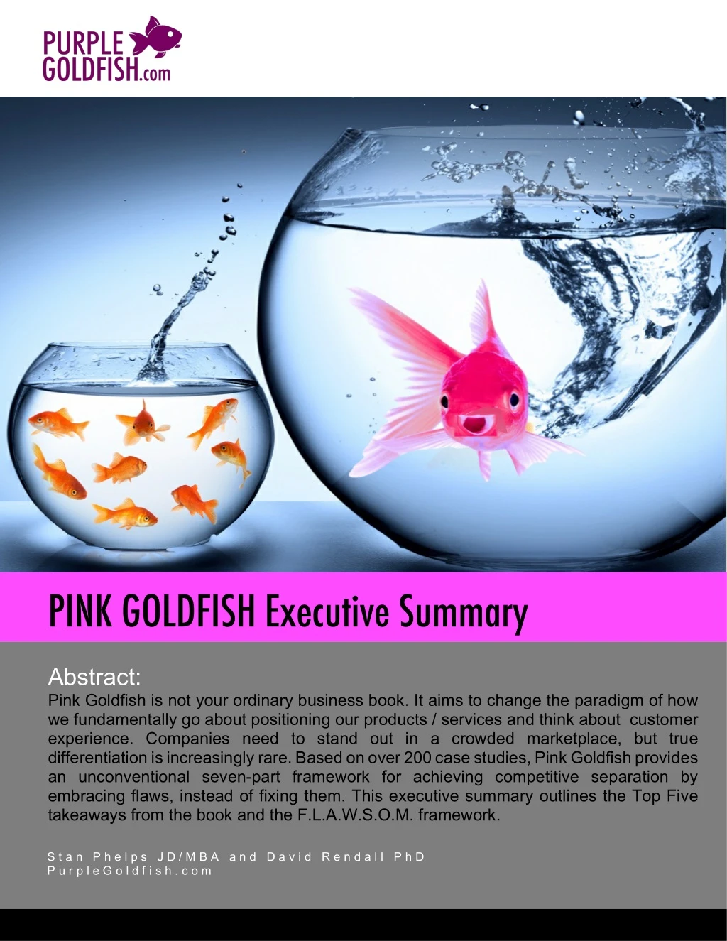 pink goldfish executive summary