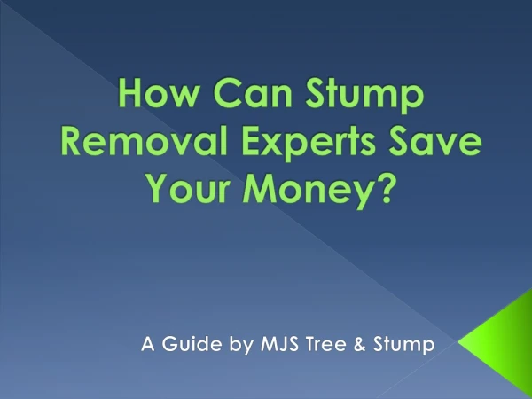 How Can Stump Removal Experts Save Your Money?