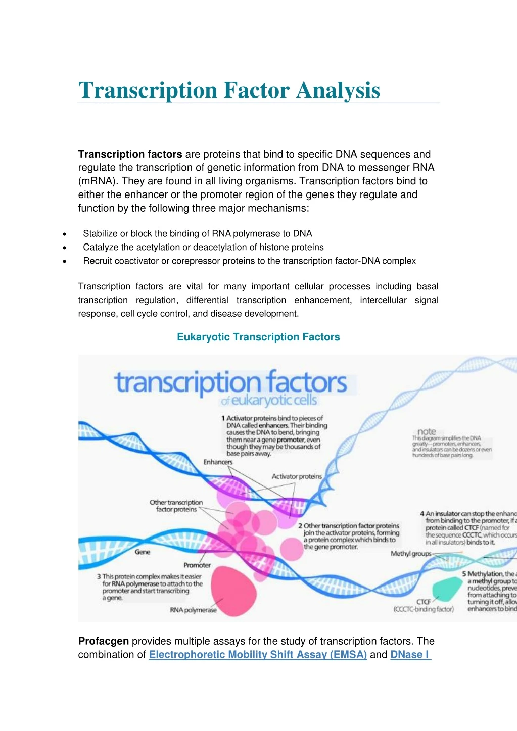 transcription factor analysis