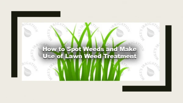 How to Spot Weeds and Make Use of Lawn Weed Treatment