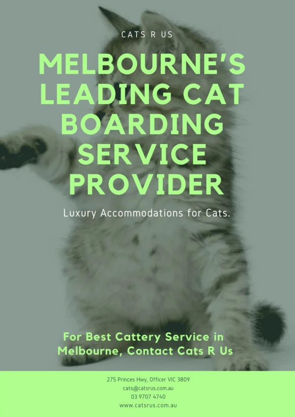Melbourne’s leading Cat Boarding Service Provider - Cats R Us