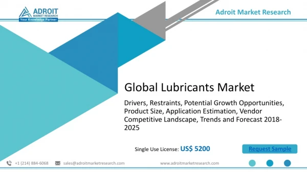 Lubricants Market : Competitive Dynamics & Global Outlook 2018-2025