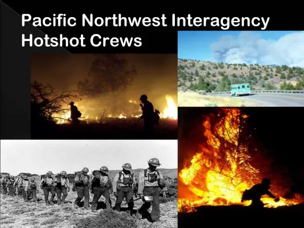 Pacific Northwest Interagency Hotshots