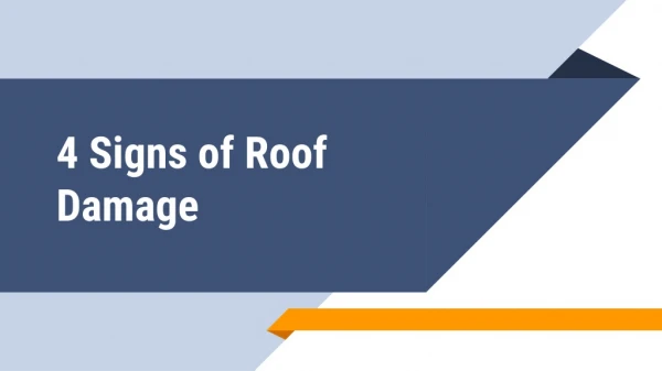4 Sign of Roof Damage