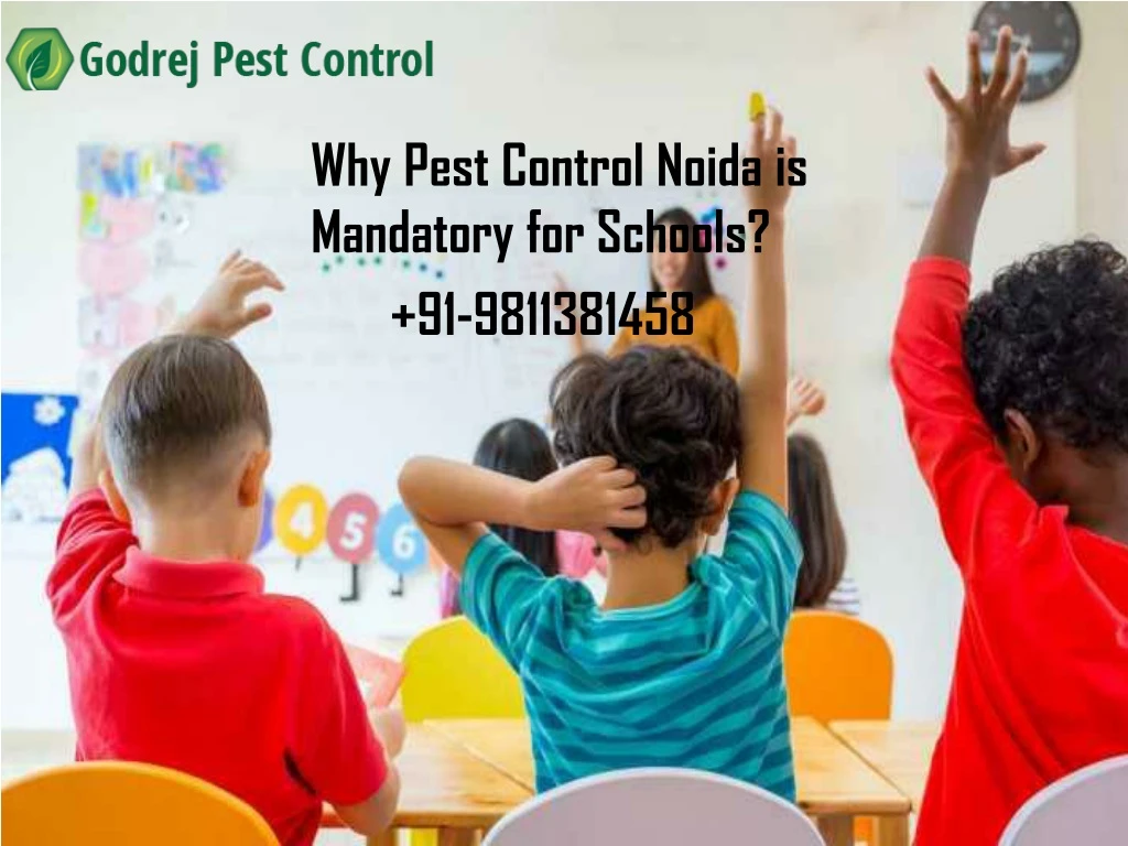 why pest control noida is mandatory for schools