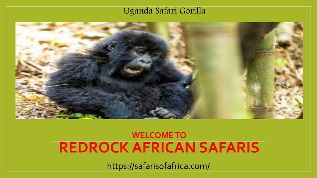 welcome to redrock african safaris