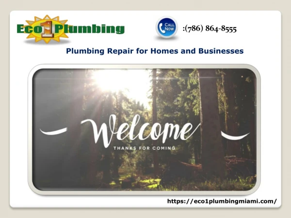 Hire the best Miami plumbing company to get the best services