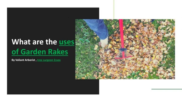 Uses of garden rakes